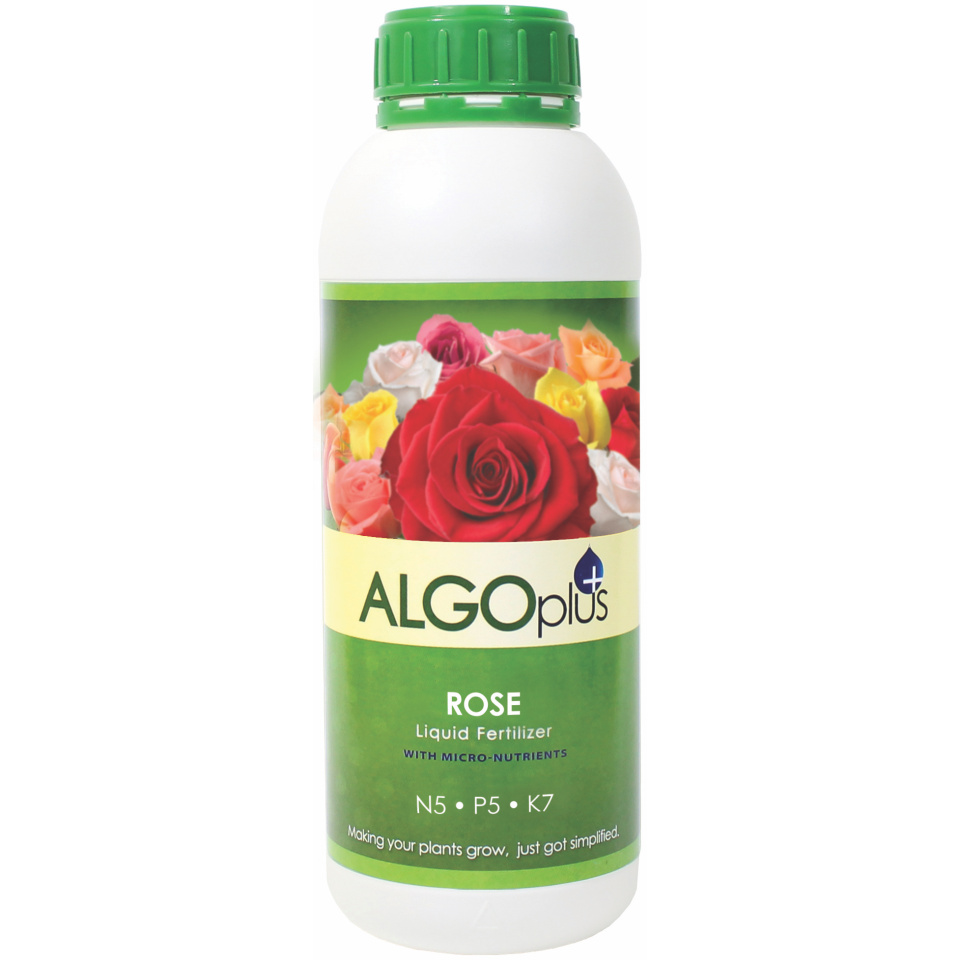 Algoflash AlgoPlus