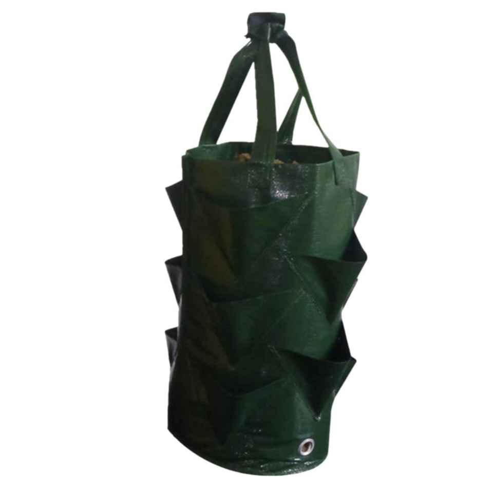 Drip Depot 3 Gallon Plastic Strawberry Grow Bags - Color : Green