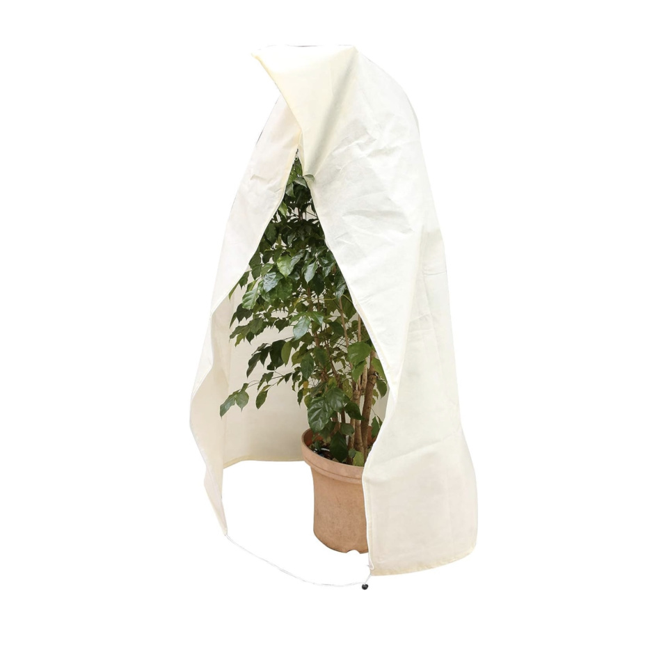 Deluxe Frost Protection Bags for Large Plants