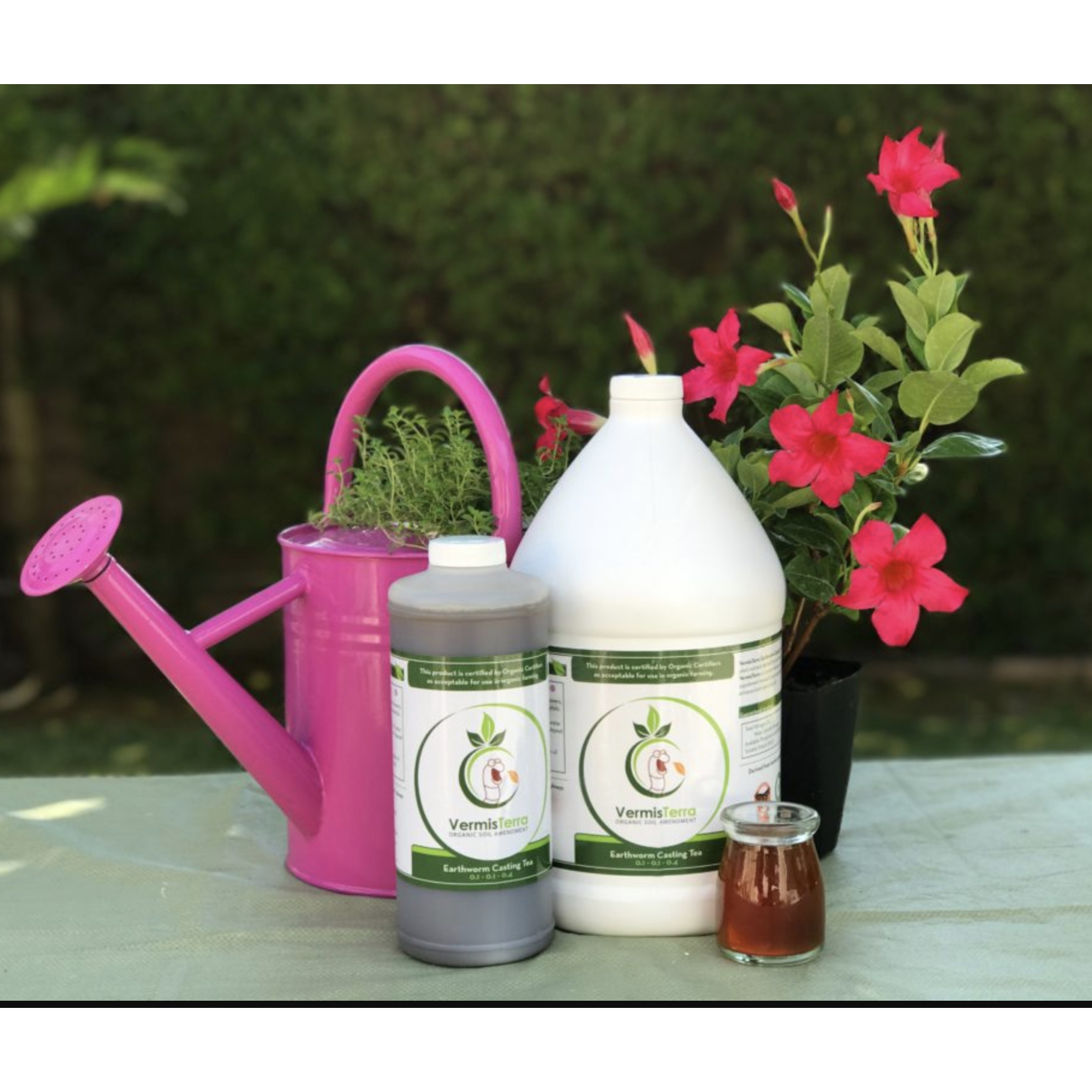 VermisTerra Organic Earthworm Casting Tea