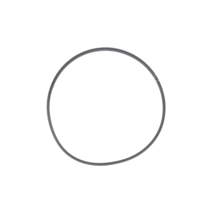 Jain Replacement O-Ring for Spin Clean Filter
