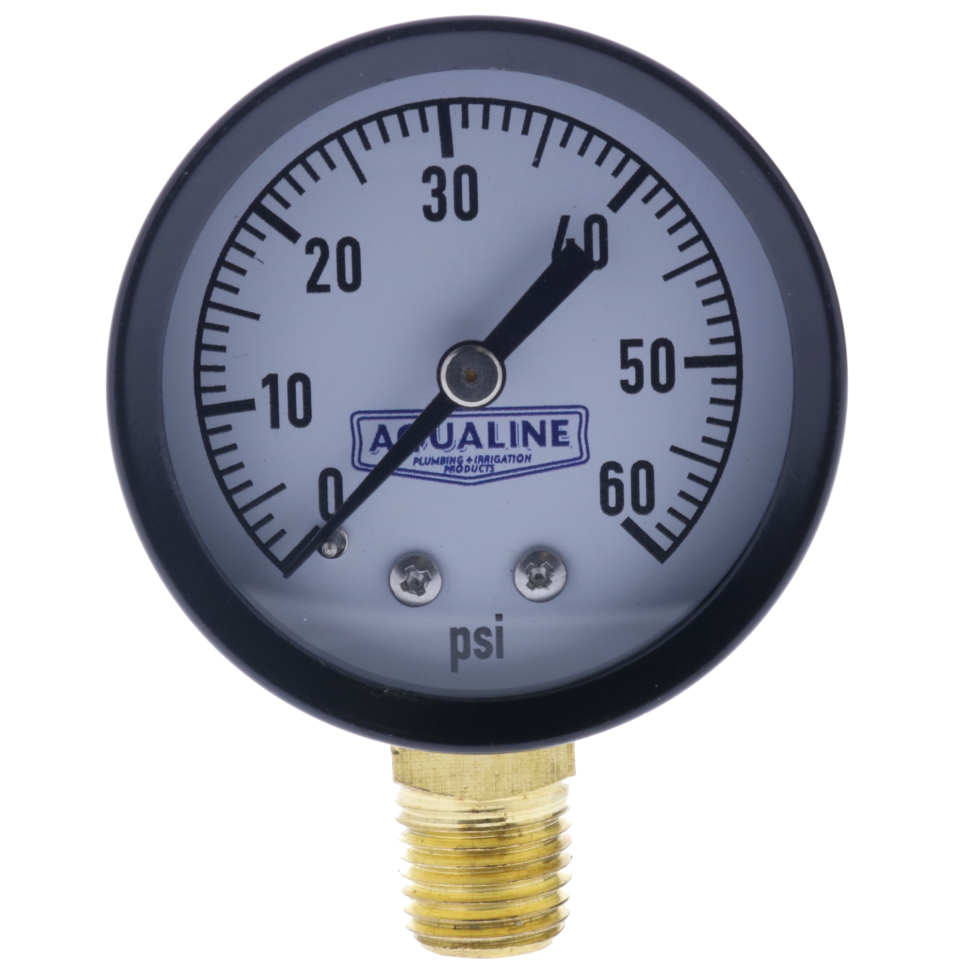 Aqualine 60 PSI Dry Pressure Gauge