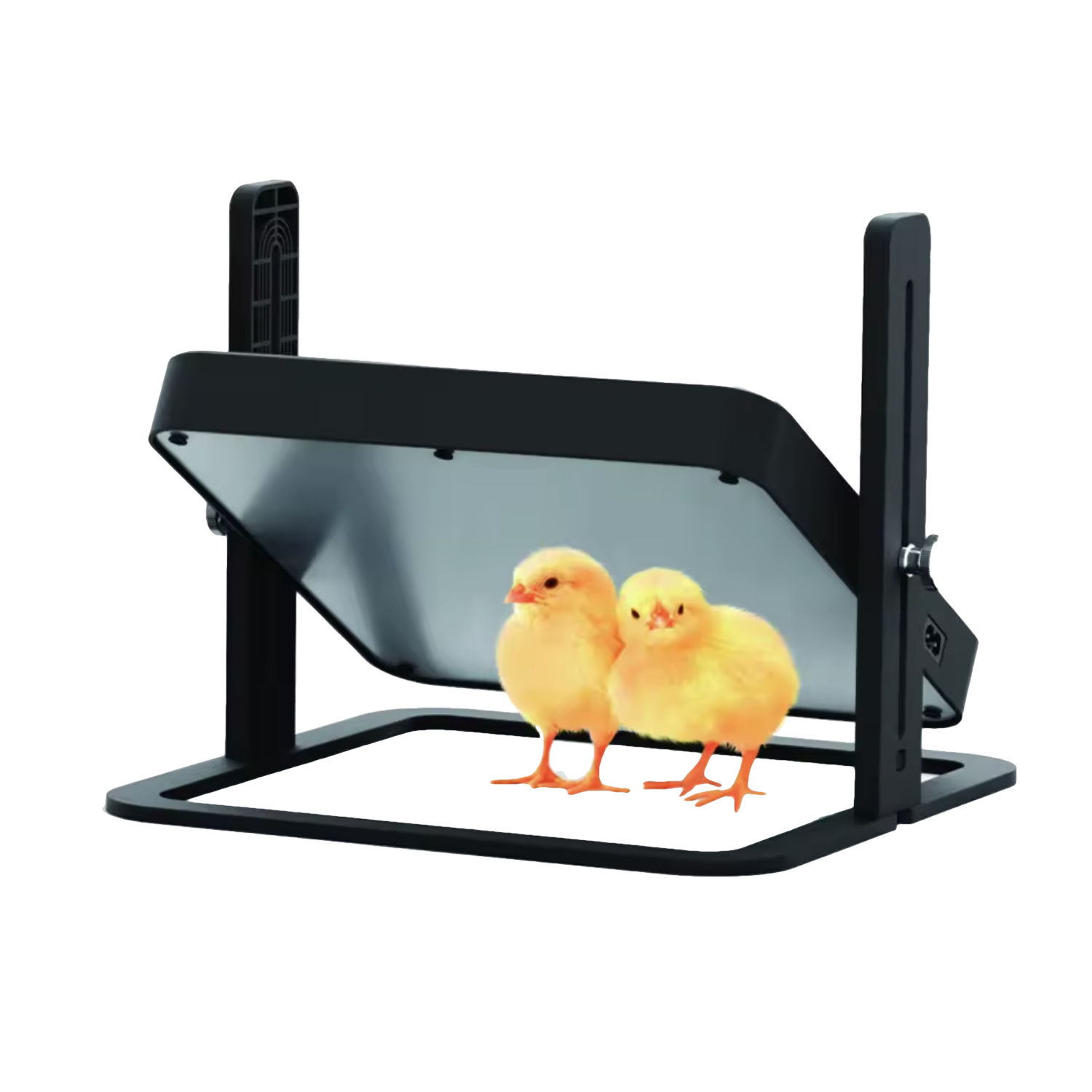 Brooder Miniature Mini Heat Plate Brooder | Drip Depot