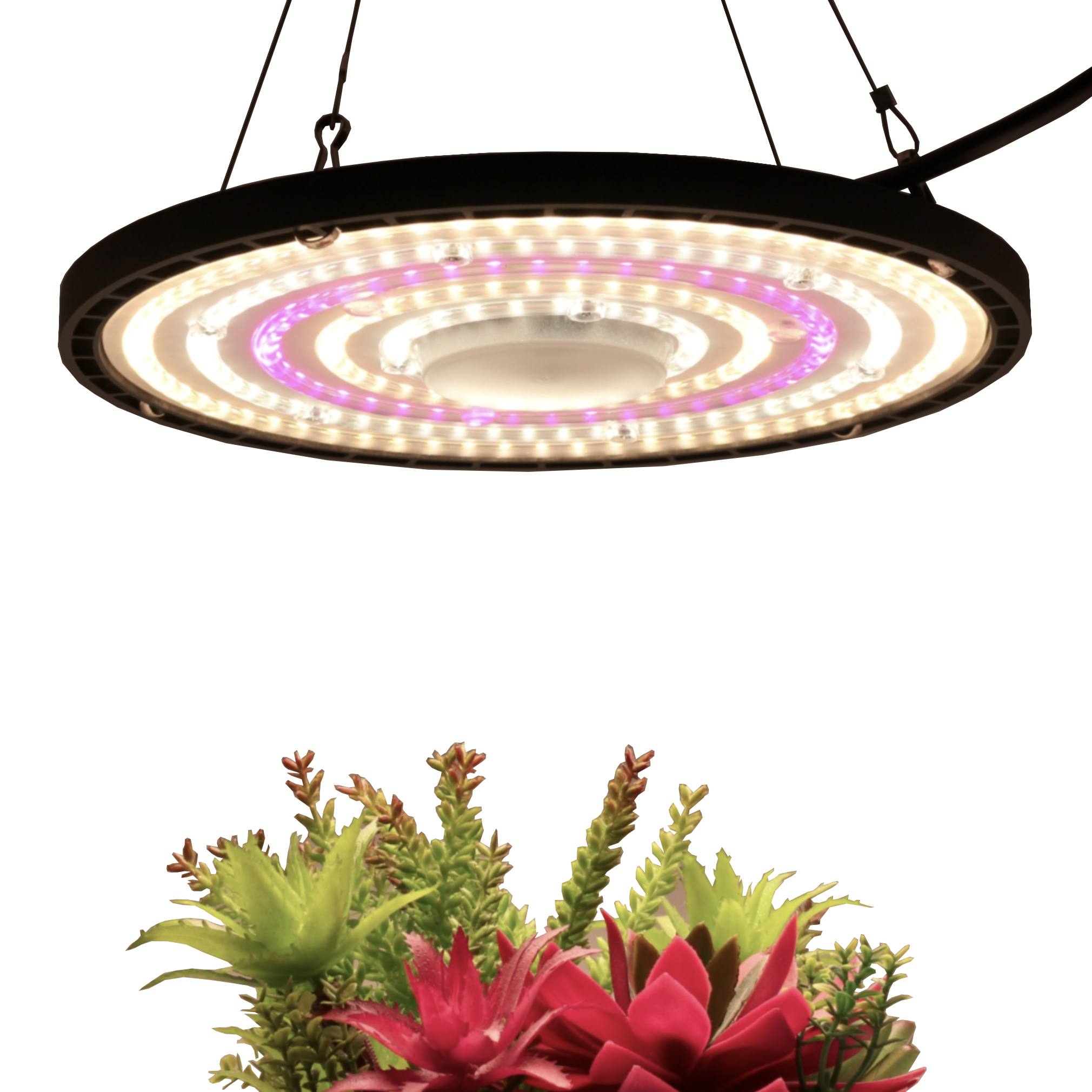 Drip Depot UFO Grow Light